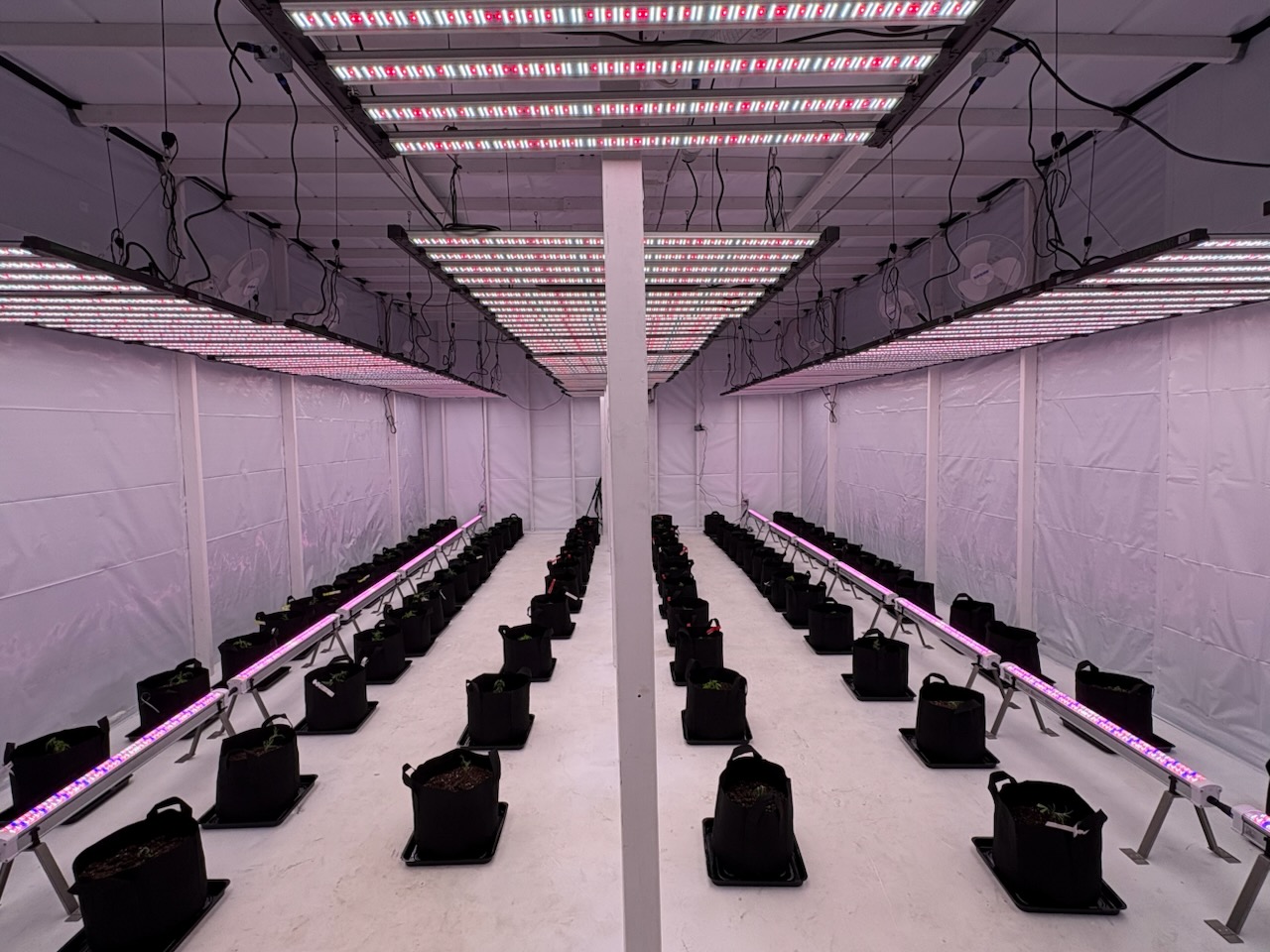 Green Frosty LLC facility