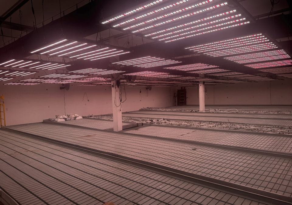 Khush Kush facility
