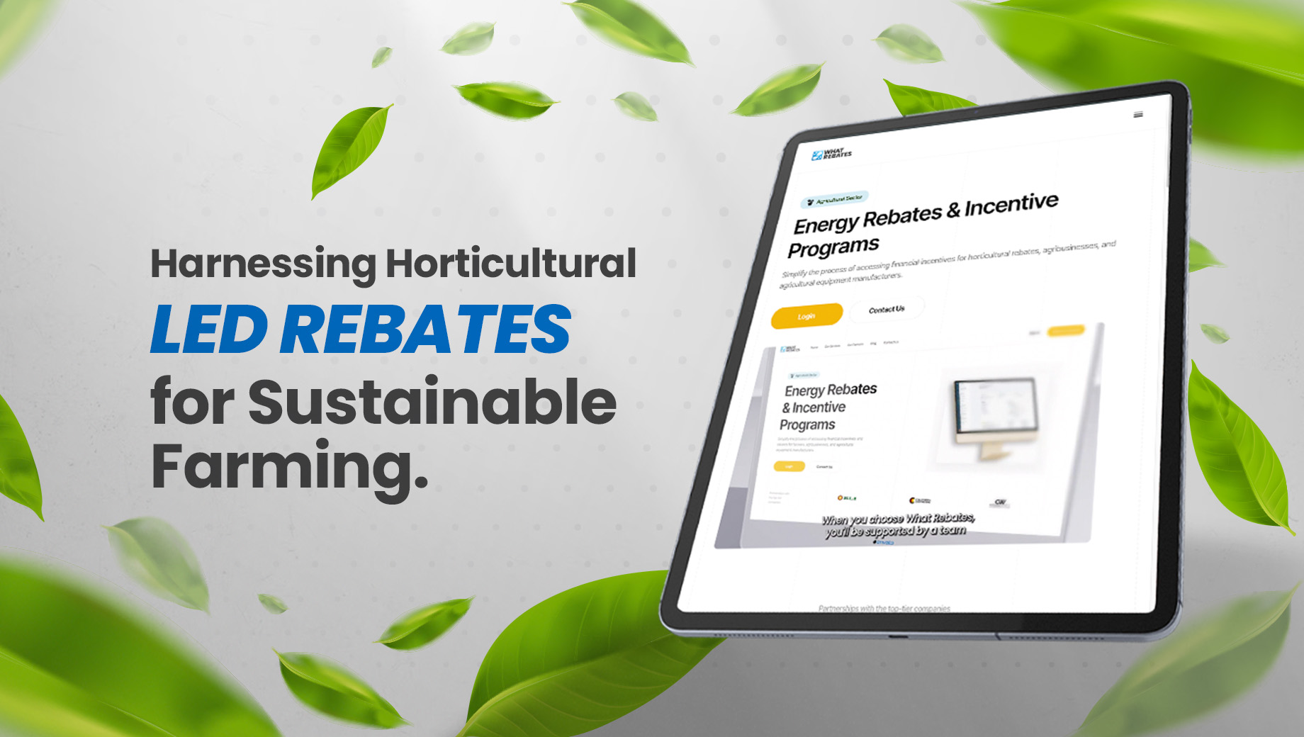 Discover the Simplicity of Rebates with What Rebates