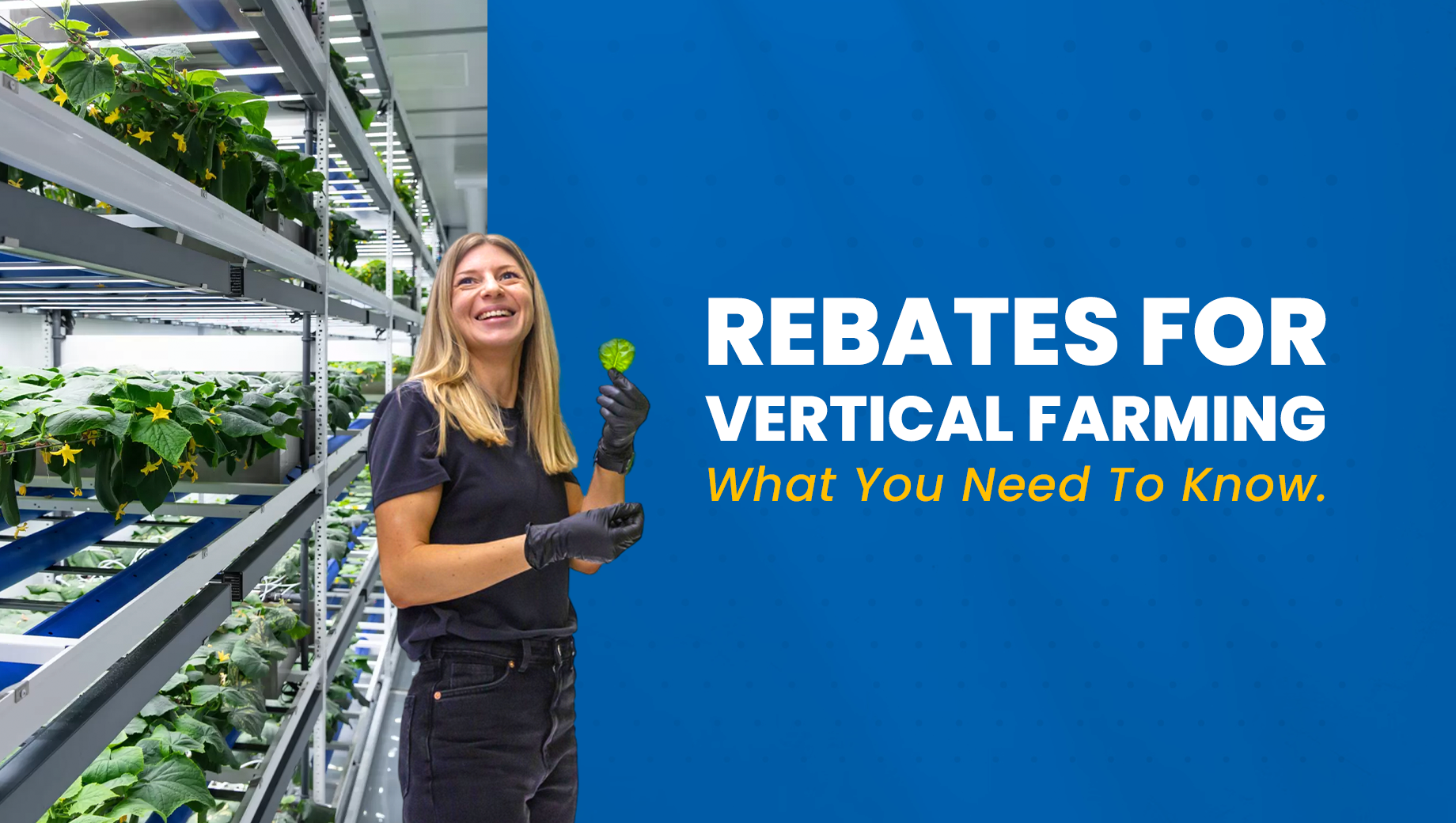 Rebate Programs