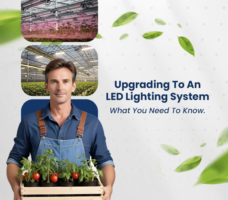Image with a phrase: Upgrading To An LED Lighting System