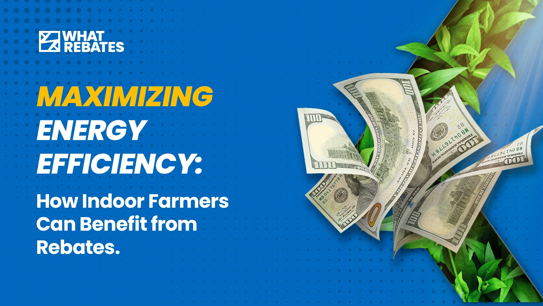 Image with a phrase: Maximizing Energy Efficiency: How indoor farmers can benefit from rebates