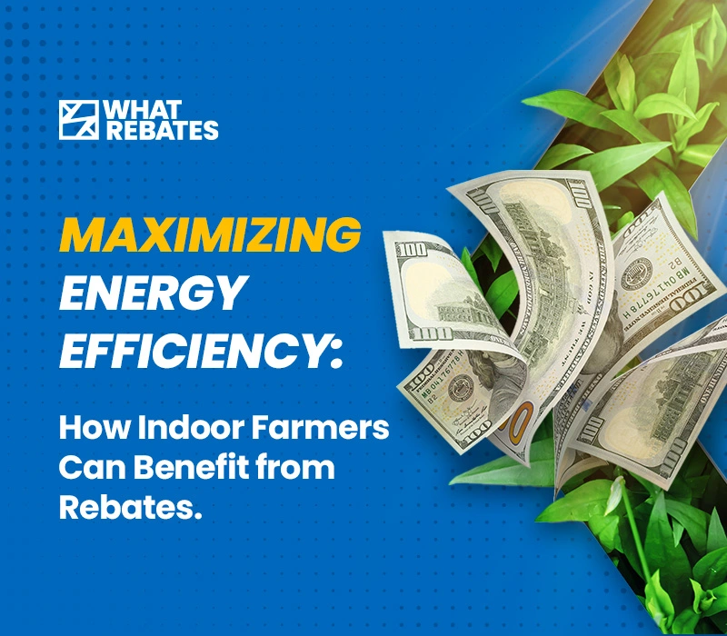 Image with a phrase: Maximizing Energy Efficiency: How indoor farmers can benefit from rebates