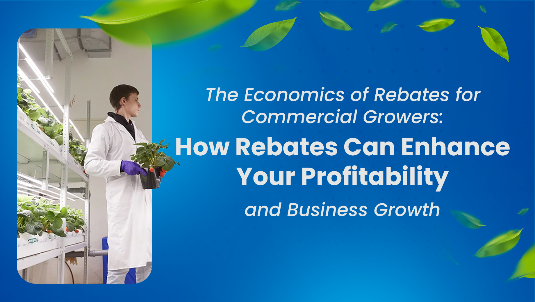 How Rebates Can Enhance Your Profitability and Business Growth