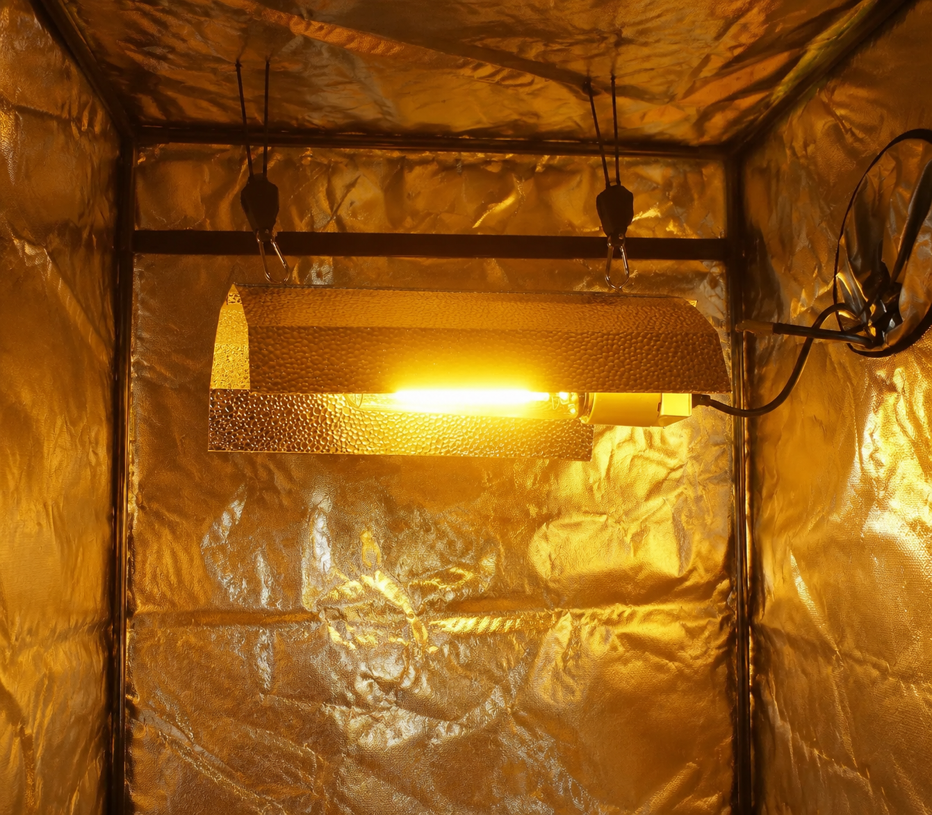 How to Plan an LED Grow Light Retrofit That Still Qualifies for a Rebate