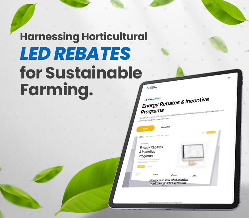Harnessing Horticultural LED Rebates for Sustainable Farming