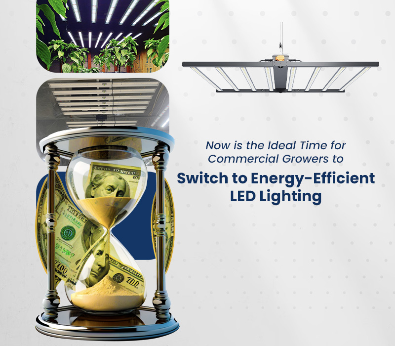Ideal Time to Switch to LED