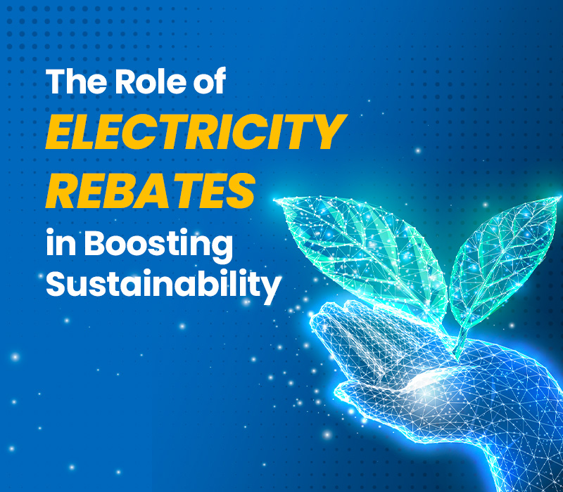 The Role of Electricity Rebates in Boosting Sustainability in the Horticultural Industry