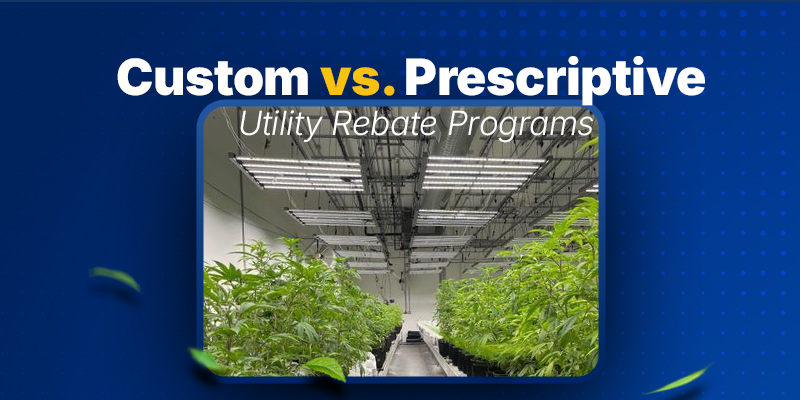  Custom vs. Prescriptive Utility Rebate Programs: Which One Fits Your Grow?