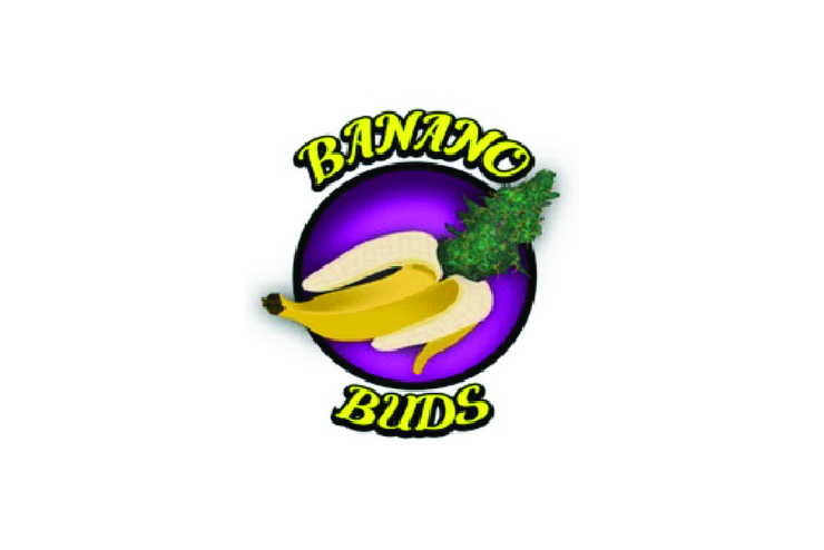 Banana Buds