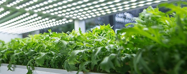 DLC Qualified Products List for Grow Light