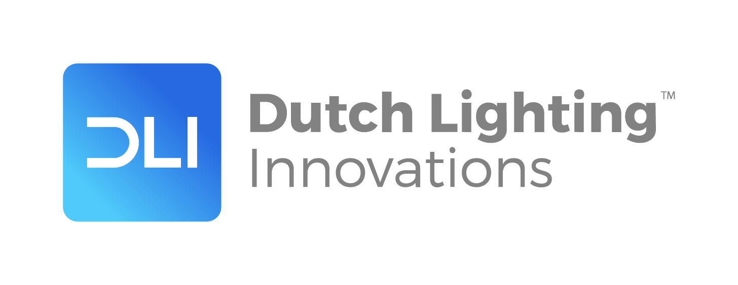 Dutch Lighting