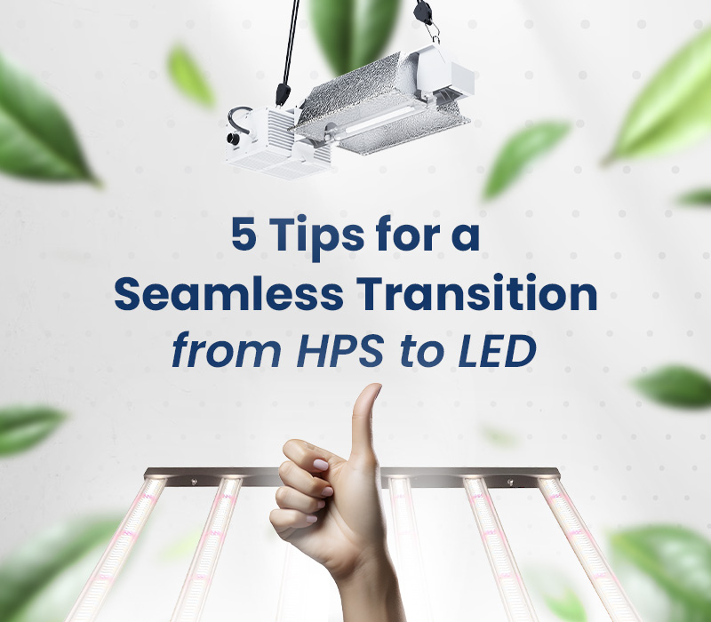 5 Tips for a Seamless Transition from HPS to LED