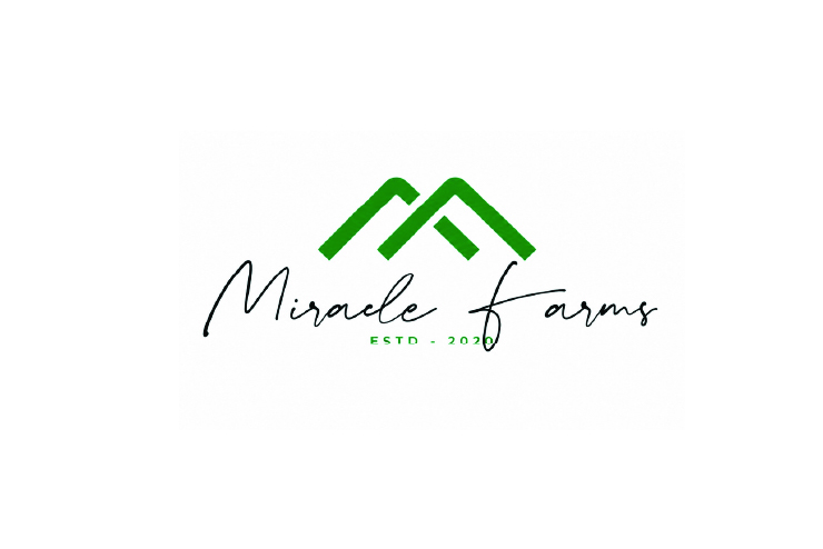 Miracle